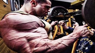 Bodybuilding Motivation  Every day [upl. by Rossie]