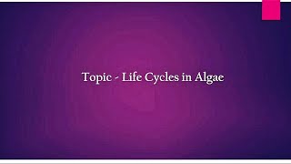 Life Cycles in Algae  Different types  Hindi [upl. by Lettig]