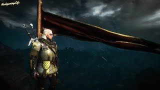 I Passed Here 1000 Times But Im Only Finding This Now Velen  Witcher 3 Wild Hunt [upl. by Leehar161]