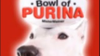 Bowl of purina 1 Hour song credits to mistermainer purina mistermainer song [upl. by Tadich670]