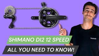 Shimano DI2 12 Speed amp All You NEED To Know  Battery Check Shifting Modes Indexing amp ETube App [upl. by Nosae]