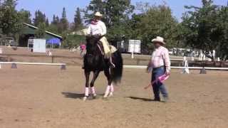 Cowboy Dressage Freestyle at the Gold N Grand Horse Show [upl. by Lemrahs]