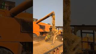 combine combinemachine combineharvester harvester shorts [upl. by Onitnatsnoc]