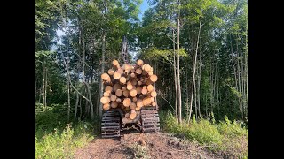 John Deere 1010G Forwarding spruce sawlogs POV [upl. by Anhsirk]