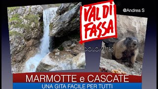 CANAZEI CASCATE E MARMOTTE [upl. by Saylor756]