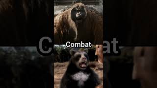 gigantopithecus blacki vs shortfaced bear gigantopithecus shortfacedbear vsedits fyp fypviral [upl. by Akinahc]