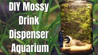 Mossy Drink Dispenser Aquarium [upl. by Hedelman181]