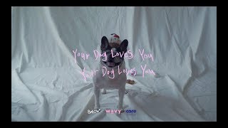 Colde 콜드  Your Dog Loves You Feat Crush Official Video [upl. by Donegan]