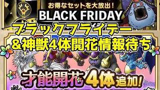 【DQタクト】ブラックフライデーamp神獣4体の才能開花性能待ち枠！【ドラクエタクトDQTactドラゴンクエストタクト】 [upl. by Kimon746]