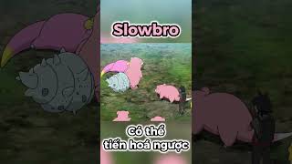 Slowbro Pokemon duy nhất có thể TIẾN HOÁ NGƯỢC   PAG Center [upl. by Berthold]