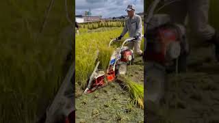 Automatic Bundle machine for Agriculture [upl. by Atinuj505]