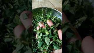 methi sukhane ka tarika [upl. by Atinuhs]