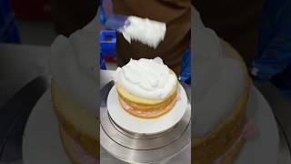 Fruits Cake shorts short shortvideo cake viral viralvideo recipe decoration [upl. by Eilis]