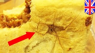 Un vendeur de voitures arachnophobe trouve une araignée dans son sandwich [upl. by Ally]