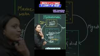 Life Cycle Of Cyclostomata  QuickShot Biology  neetpreparationneetbiologyncertmedicalentrance [upl. by Belanger164]