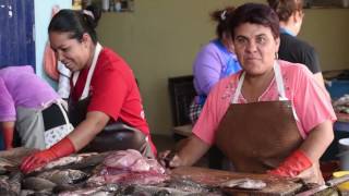 The Women of Petatán [upl. by Huggins]