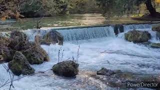 01112024 München Englischer Garten  Eisbach MIX Wasserfall amp Surfer [upl. by Cida519]