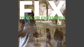 FLX feat Souldia [upl. by Gord235]