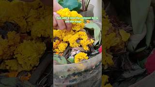 Making compost from the flowers used during Diwali♻️ composting shorts plant ytshorts gardening [upl. by Goldsworthy478]