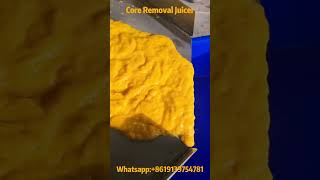 Look How Easily Core Removal and Pulping Machine Squeezes Mango Juice and Separates the Kernels [upl. by Lithea]