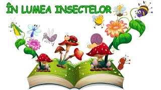 În lumea insectelor  Cunoașterea mediului [upl. by Aihsekyw]