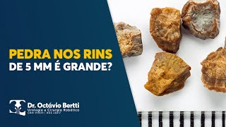 PEDRA NO RIM DE 5 MM É GRANDE  QUAL O TRATAMENTO PARA CÁLCULO RENAL PEQUENO [upl. by Reppep]