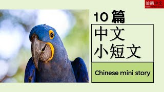 10 Mandarin Chinese mini stories with and without PINYIN 学中文 HSK3 [upl. by Sonny746]