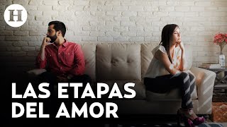 Amor vs enamoramiento Doctora en neurociencias explica las diferencias entre ambas [upl. by Ymrej]