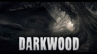 Lets Play Some More Darkwood [upl. by Hirschfeld]