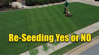 Reseeding Lawns  Does and Donts [upl. by Juliet784]