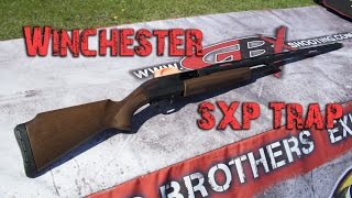 Winchester SXP Trap [upl. by Shue360]