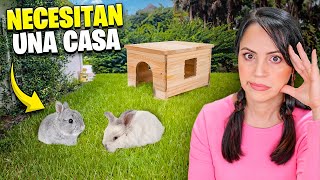 Ahora Hay Que Pensar en una Casa para los Conejitos 🔥 Sandra Cires Vlog [upl. by Noek780]