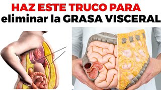 7 claves para DESTRUIR La GRASA VISCERAL [upl. by Nalo]