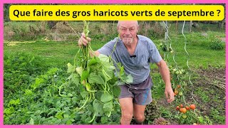 Que faire de vos gros haricots verts de septembre avant quils pourrissent [upl. by Nassah]