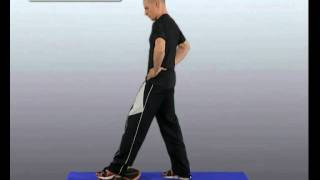 91 Mobilisierung Sprunggelenk mit Balance Board Version 2012 [upl. by Naida886]