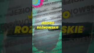 Jezioro Rożnowskie  PokażMy Małopolską Turystykę małopolska jezioro pokazmymalopolskaturystyke [upl. by Huppert]