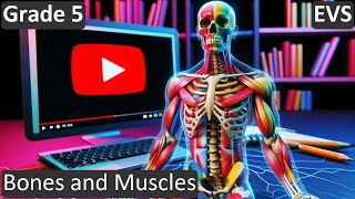 Grade 5  EVS  Bones and Muscles  Free Tutorial  CBSE  ICSE  State Board [upl. by Namyl]