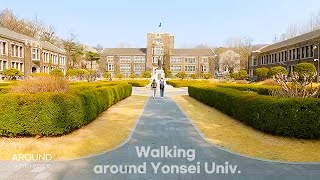 4K Walking around Yonsei University as spring approaches ambience [upl. by Hsima]