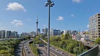 Mayoral Drive To Ponsonby Road Western Park Walking Tour In Auckland New Zealand [upl. by Bilbe]