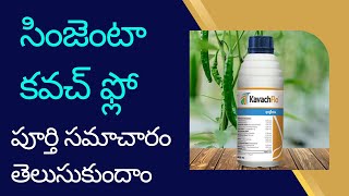 Syngenta Kavach flo  Chlorothalonil 40 Difenoconazole 4 [upl. by Abernon]