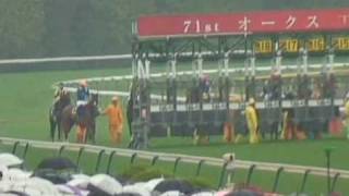 2010 第71回優駿牝馬 オークス Japanese Oaks Apapane Saint Emilion [upl. by Ahsekal]