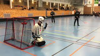 Floorballgoalietraining [upl. by Annawot]