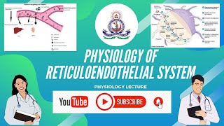 PHYSIOLOGY OF RETICULOENDOTHELIAL SYSTEM [upl. by Kosaka]