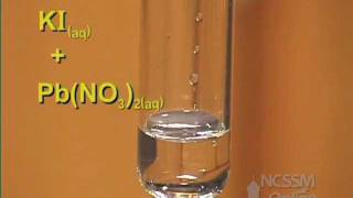 Double Displacement Lead Nitrate and Potassium Iodide [upl. by Skilken]