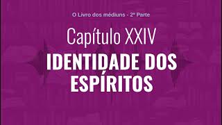 Capítulo XXIV  Parte 2  IDENTIDADE DOS ESPÍRITOS  Audiobook de quotO Livro dos médiunsquot [upl. by Dolphin9]