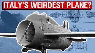 Italy’s Bizarre Flying Barrel  The Stipa Caproni Aircraft Overview 55 [upl. by Raddi]