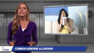 Spray Foam Insulation  Reduce Allergens with Icynene [upl. by Glaab]