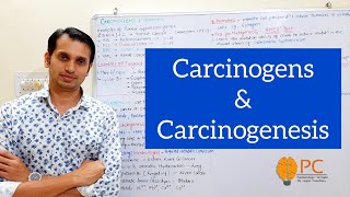 Cancer Part 3 Carcinogens and Carcinogenesis  Tumour Supressor Gene and Oncogenes [upl. by Eggett]