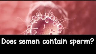 Does semen contain sperm [upl. by Crutcher99]