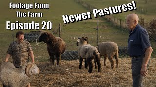 Footage From The Farm Episode 20  Prepping the Sheep for Winter with Dr Pol 🐑❄️ [upl. by Yak]